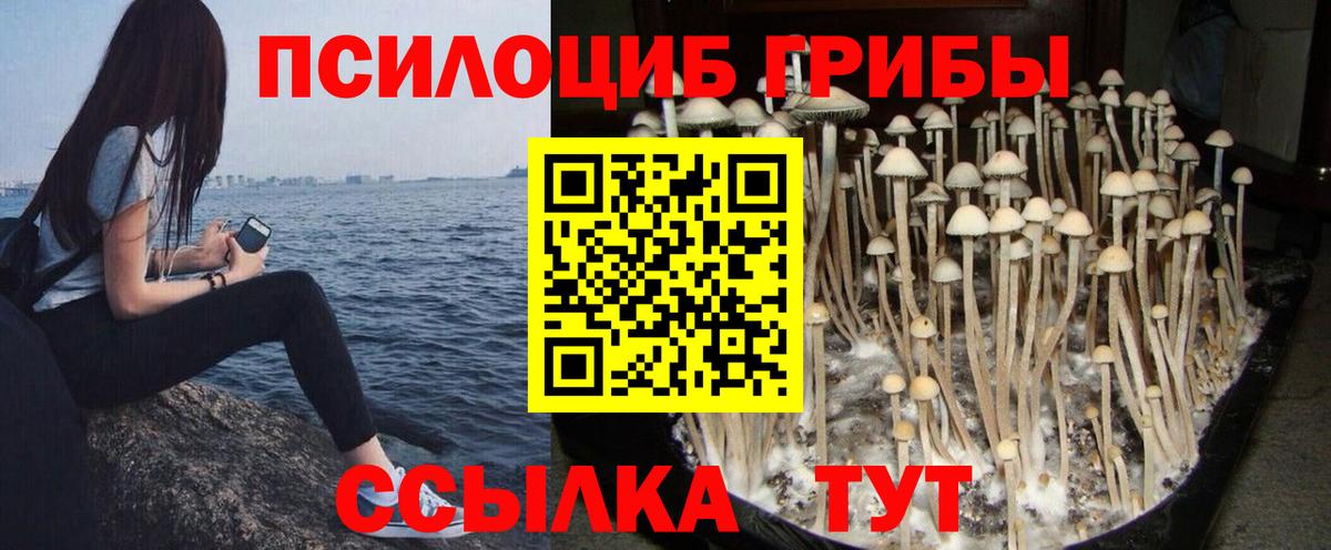 Псилоцибиновые грибы MAGIC MUSHROOMS Богородск