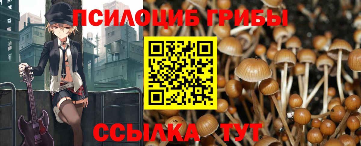 Богородск  Псилоцибиновые грибы Magic Shrooms  Галлюциногенные грибы GOLDEN TEACHER  Вход с VPN 